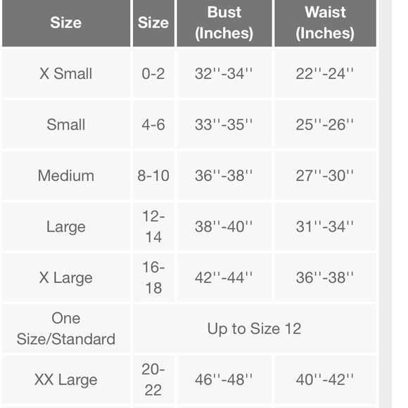 NWT Rubies Women's Wonder Woman Dc Sporty Tee costume size Medium - Picture 6 of 8